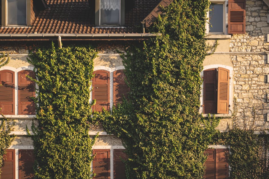 cómo instalar jardines verticales para interiores fácilmente