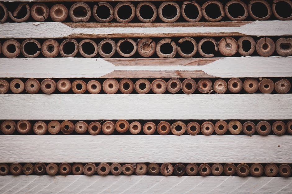 El bambú como material sostenible para el hogar en decoración moderna
