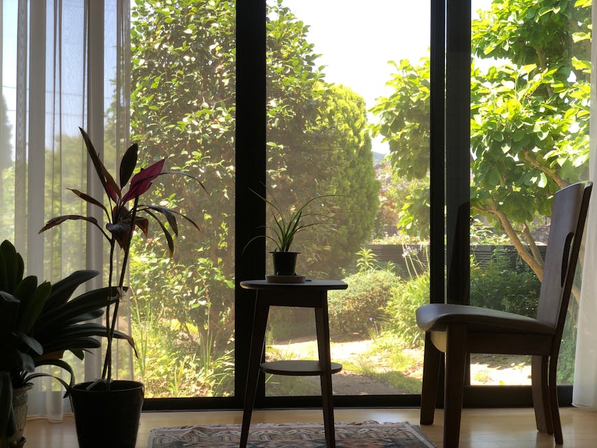 Ideas sobre cómo decorar con plantas en casa sin complicaciones
