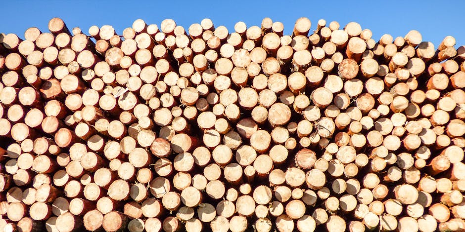 Usando materiales sostenibles para construcción de viviendas en proyectos modernos