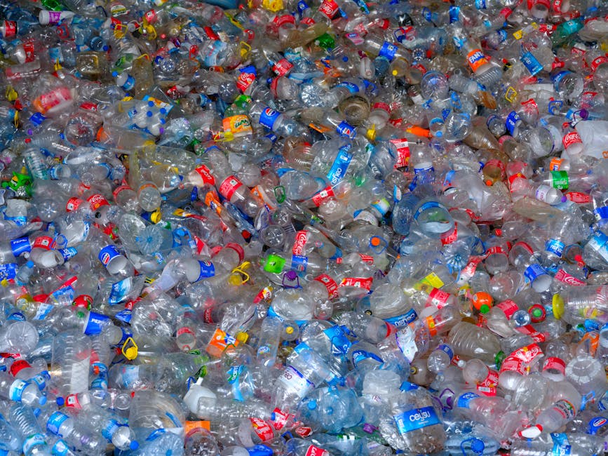 Proyectos de manualidades sostenibles con botellas de plástico recicladas