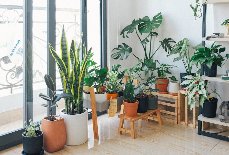 Ideas para simplificar tu hogar de forma sostenible sin esfuerzo