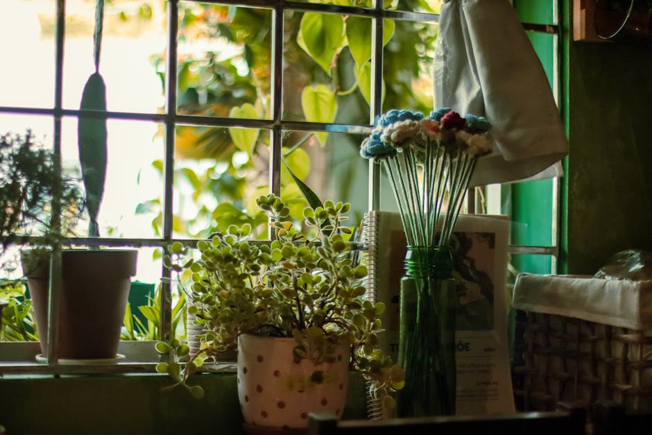Cómo decorar con plantas en casa para un ambiente natural
