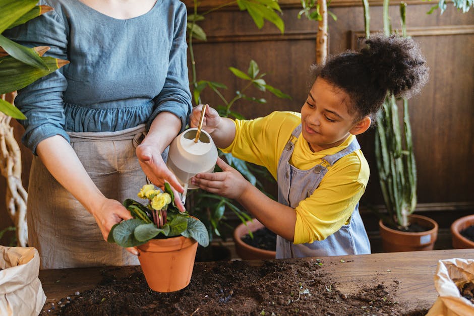 Consejos para los cuidados básicos para plantas de interior en casa
