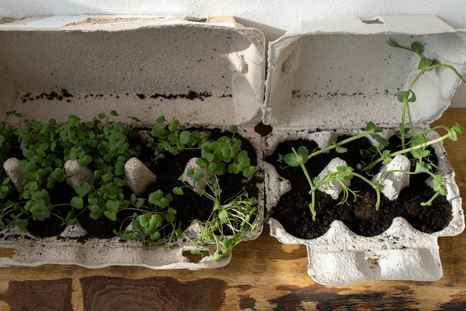 vivir con un estilo de vida zero waste de manera fácil