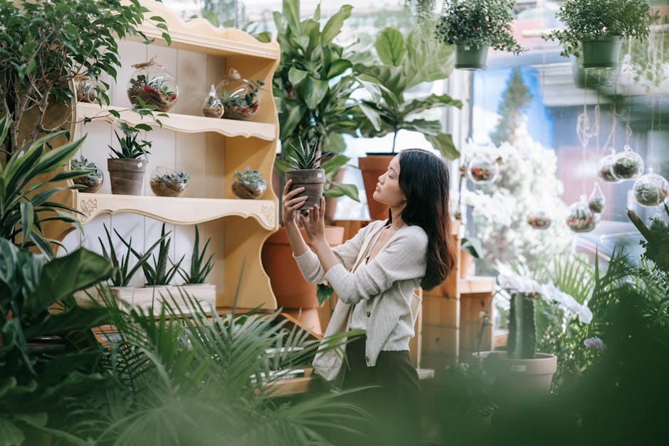 Plantas de interior fáciles de cuidar para decorar tu casa