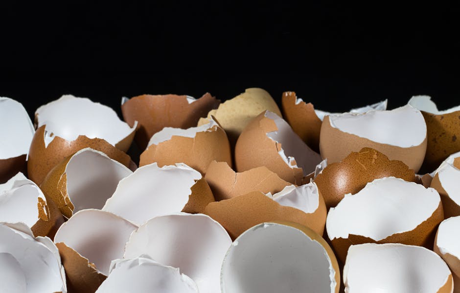 Método sencillo para cómo hacer compost casero fácilmente en casa