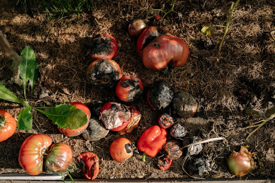 Consejos útiles sobre cómo hacer compost casero fácilmente paso a paso