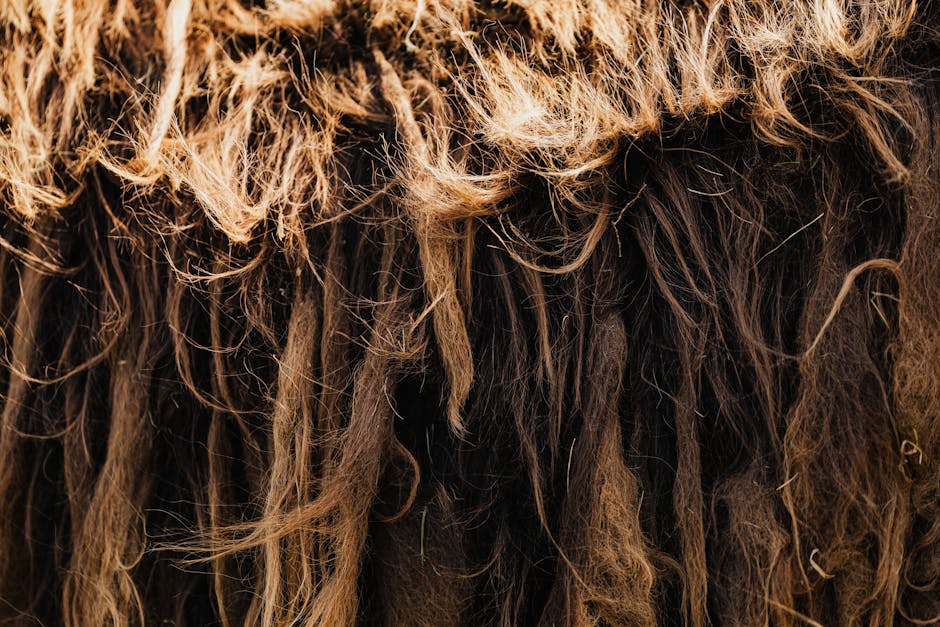 Alfombras de fibras naturales sostenibles para dormitorios