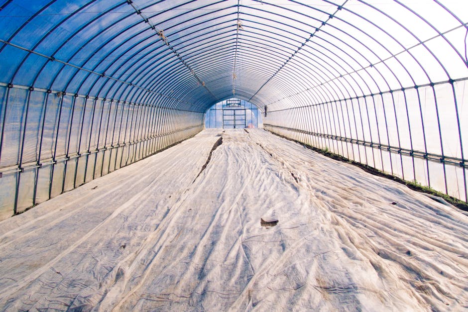 Beneficios de la Ventilación Natural en el Hogar que Transformarán tu Espacio