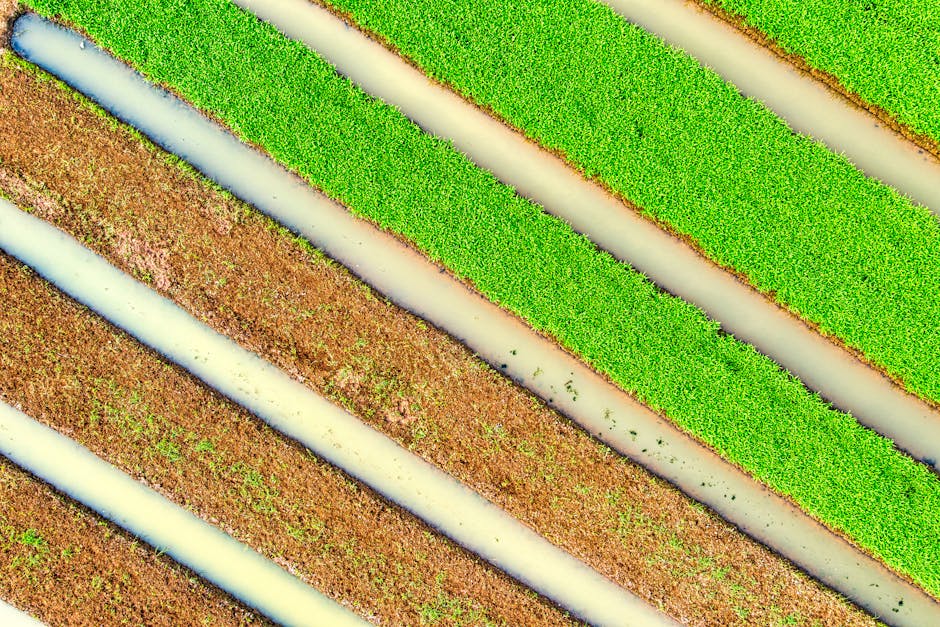 Alfombras de fibras naturales sostenibles para un hogar eco